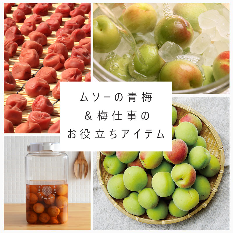 ムソーの青梅