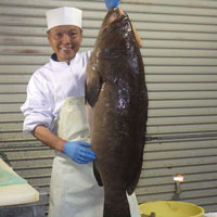 福井鮮魚 天然クエ鍋 