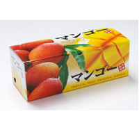 沖縄県産 アップルマンゴー 約1kg（2〜4玉）