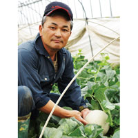 北海道産 有機メロン(ルピアレッド) 約1.6kg×1玉