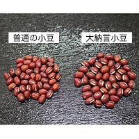 ムソー 国内産有機大納言小豆 200g