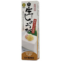 ムソー 旨味本来・生おろししょうがチューブ 40g