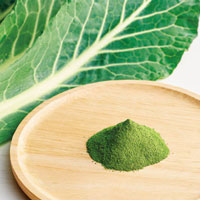 フジワラ 有機フジワラの青汁・粉末タイプ 3g×30包