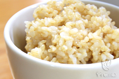 NEWなでしこ健康生活 発芽玄米が全自動で炊ける炊飯器 