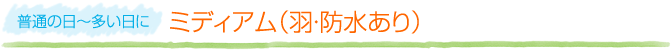 【普通の日～多い日に】ミディアム（羽・防水あり）