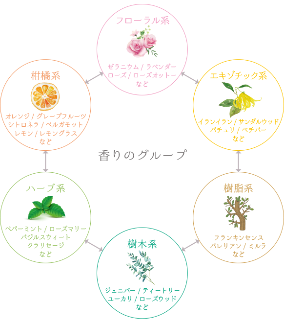 精油の系統と相性の良い関係
