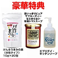 パワー・スチームオーブン NEW グランシェフ 