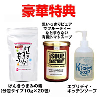 パワー・スチームオーブン NEW グランシェフ 