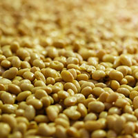 オーサワの国産立科米みそ 650g