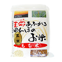 【令和5年産】生命あふれる田んぼのお米 もち米 玄米 2kg