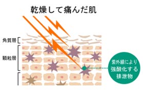 オーブスの飲料水についての質問でどんな質問をよく受けますか。