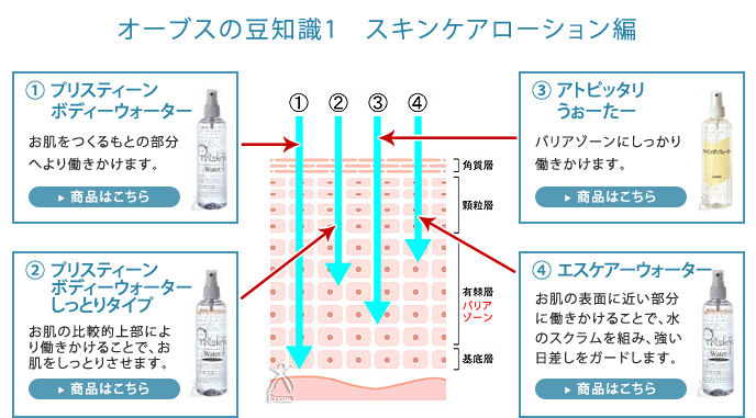 オーブスの豆知識1　スキンケアローション編