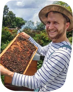 ミツバチのためのケチャップ　BEES MEANS KETCHUP