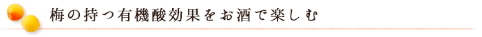 梅の持つ有機酸効果をお酒で楽しむ