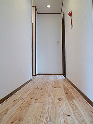 漆喰の白と無垢材が鮮やかな玄関廊下