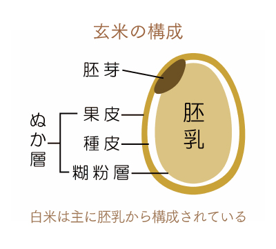 ブランドリップ-玄米の構成