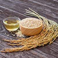 プレマラボ 和の玄米オイル テーブルサイズ 65g