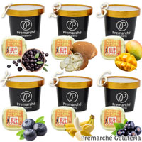 【Premarche Gelateria】 ビタミンD3入り 豆汁グルト×プレマルシェの プラントベース発酵ジェラート おまかせ6個セット 各132cc×6個入り （お味はこちらで選定いたします）