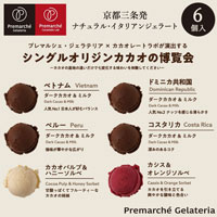 Premarche Gelateria×Premarche Cacaolate Lab カカオレート博覧会セットA カカオの4産地食べ比べ ミルクベースチョコレート＆ソルベ 90ccカップ×6個入り