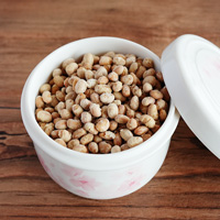 今月の新作お試し特価