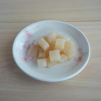 プレマシャンティ プラス野菜 有機大根 70g