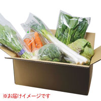 MOA自然農法 旬の野菜ボックス 【月後半水曜日発送】 6種類