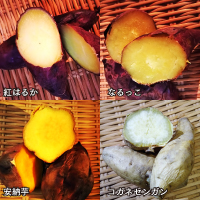 奈良のさつま芋4種詰め合わせ 5kg