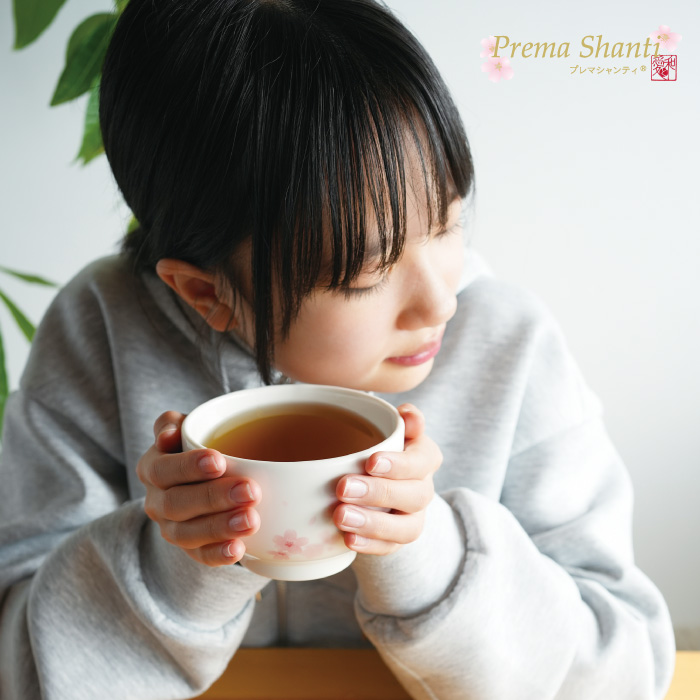 らくなちゅらる通信広告画像