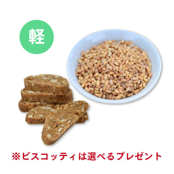 軽食