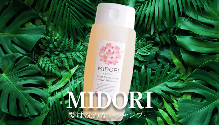 髪は洗わないシャンプー「MIDORI（みどり）」