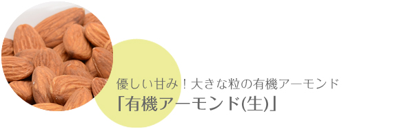 優しい甘み！大きな粒の有機アーモンド「有機アーモンド(生)」