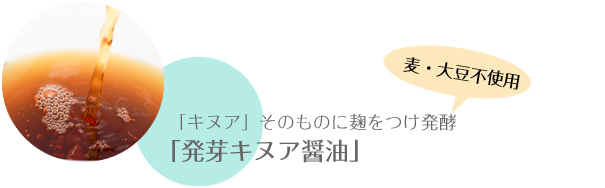 「キヌア」そのものに麹をつけ発酵、麦・大豆不使用 「発芽キヌア醤油」