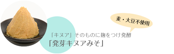 「キヌア」そのものに麹をつけ発酵、麦・大豆不使用 「発芽キヌアみそ」