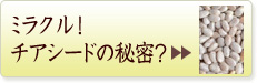サルバチアは何がミラクル?