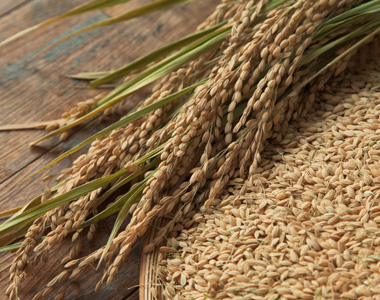 籾で保管した米