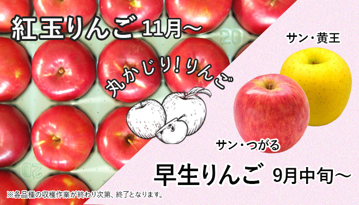 皮ごと食べられる「紅玉りんご」