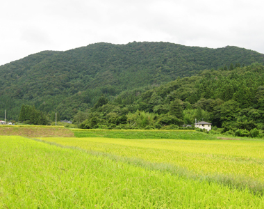 岩手で生きる、岩手で育つ