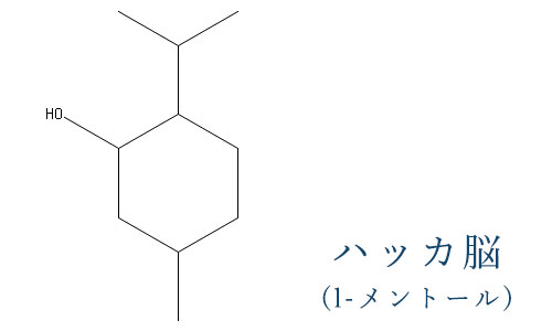 ハッカ脳