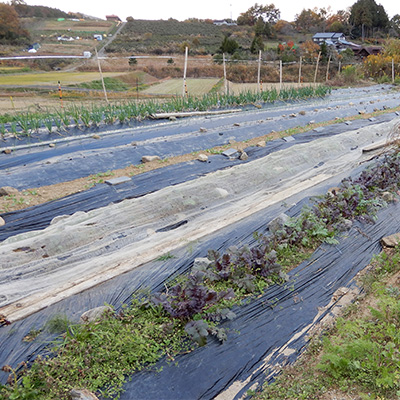 「横田家のはたけや」が暮らしを営む場所