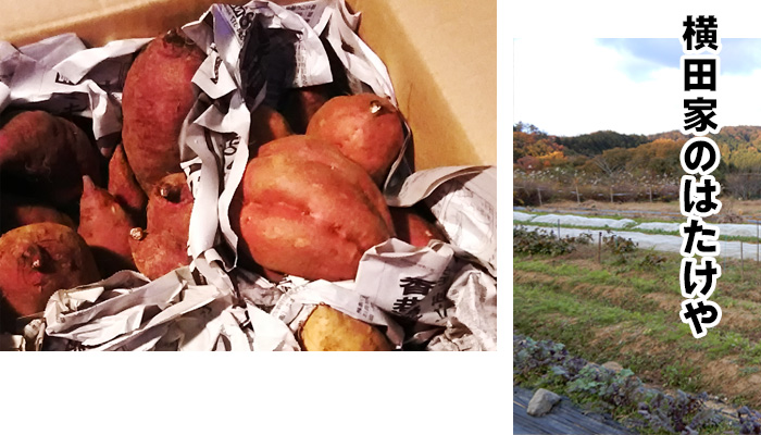奈良の大自然に育まれた「さつま芋」と「菊芋」