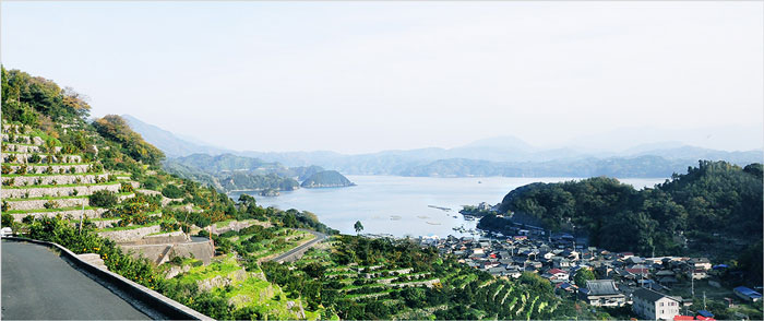 海と山が近接する明浜