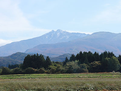 探しました、美味しいお米！