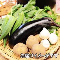 5-10月プレマシャンティ 有機栽培野菜セット・農の学校【月前半】（1セット） 5〜7品
