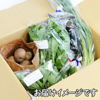 5-10月プレマシャンティ 有機栽培野菜セット・農の学校【月前半】（1セット） 5〜7品