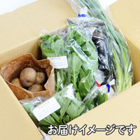 プレマシャンティ 有機栽培野菜セット・農の学校【月後半】 5〜7品