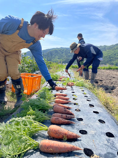 有機の里　いちじま（市島）