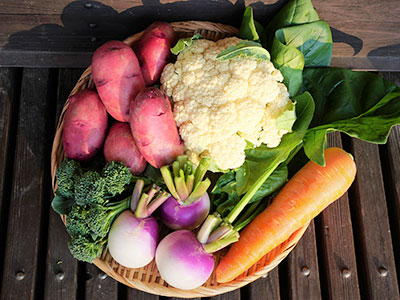 農の学校の野菜セット