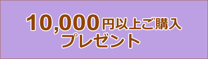 2万円以上ご購入プレゼント