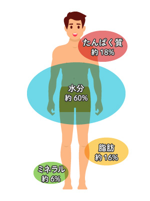 三大栄養素のひとつ「たんぱく質」