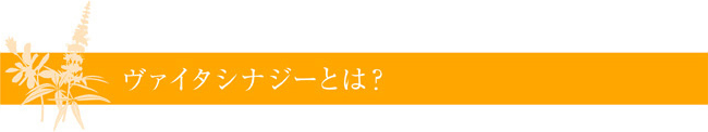 ヴァイタシナジーとは？